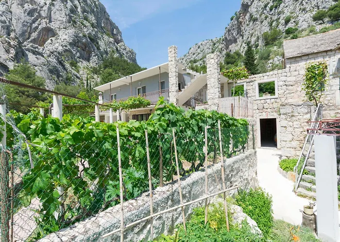Apartament Petea