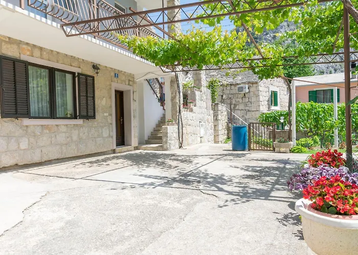 Apartament Petea *